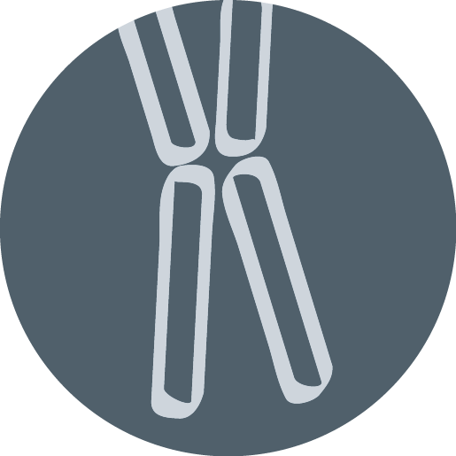 Icon Zytogenetik grau